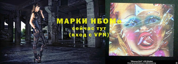 прущие грибы Осинники
