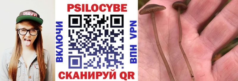 Псилоцибиновые грибы Psilocybine cubensis  Козловка 
